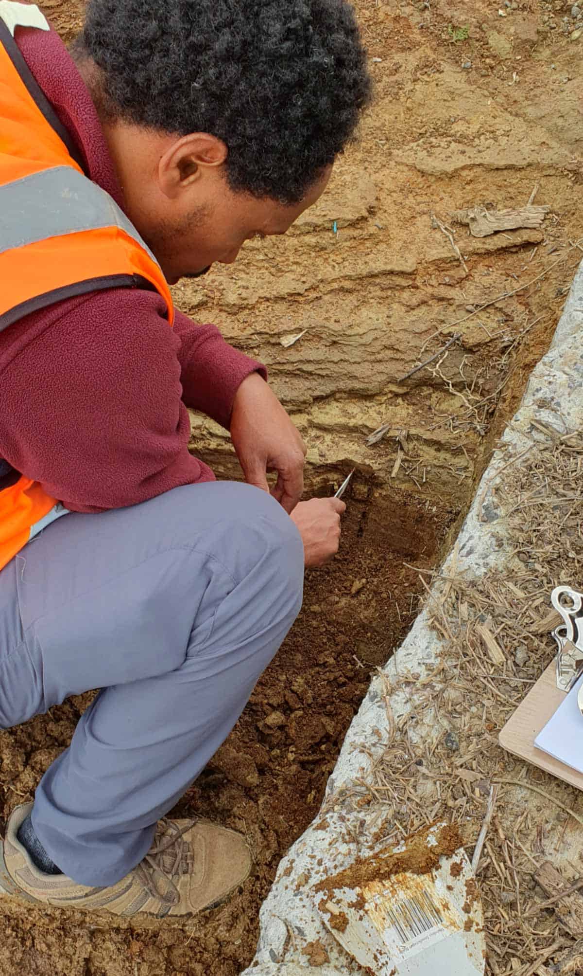 Researcher in a high-visibility vest collecting a sample from exposed soil layers.
