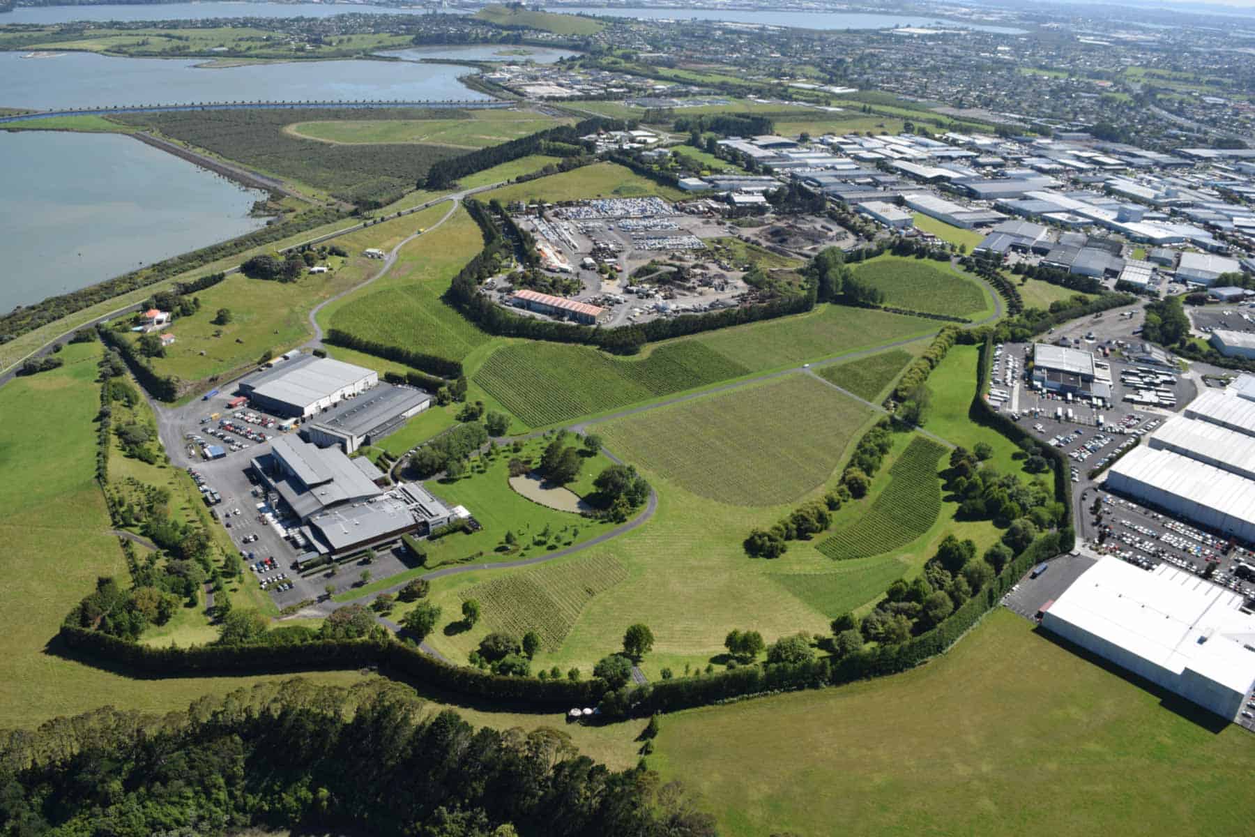 Aerial view of Waitomokia crater, showing vineyards, grassy slopes and buildings surrounded by industrial areas, with the Manukau Harbour beyond.