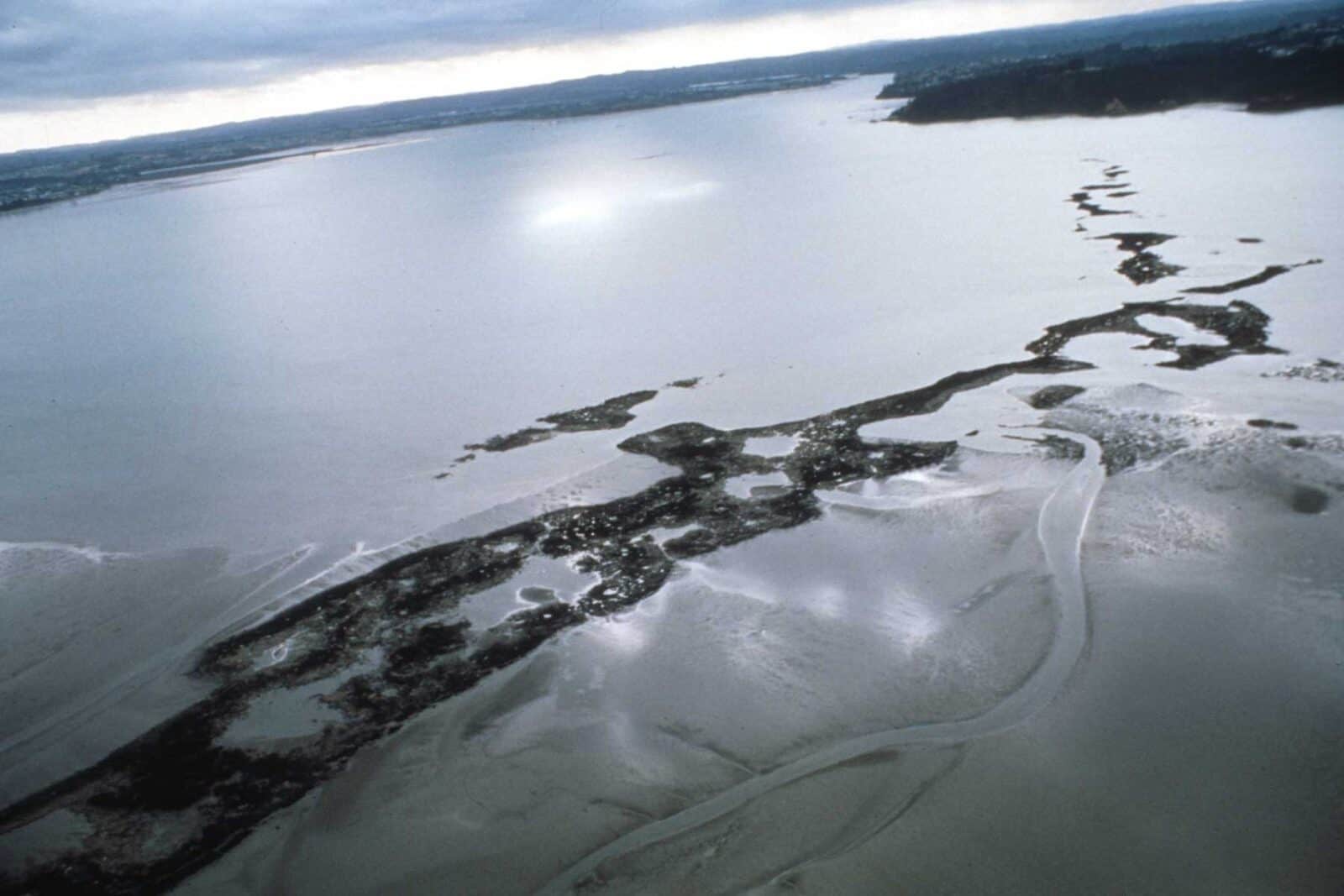 Aerial view of Meola Reef, a dark ribbon of basalt running out into the harbour