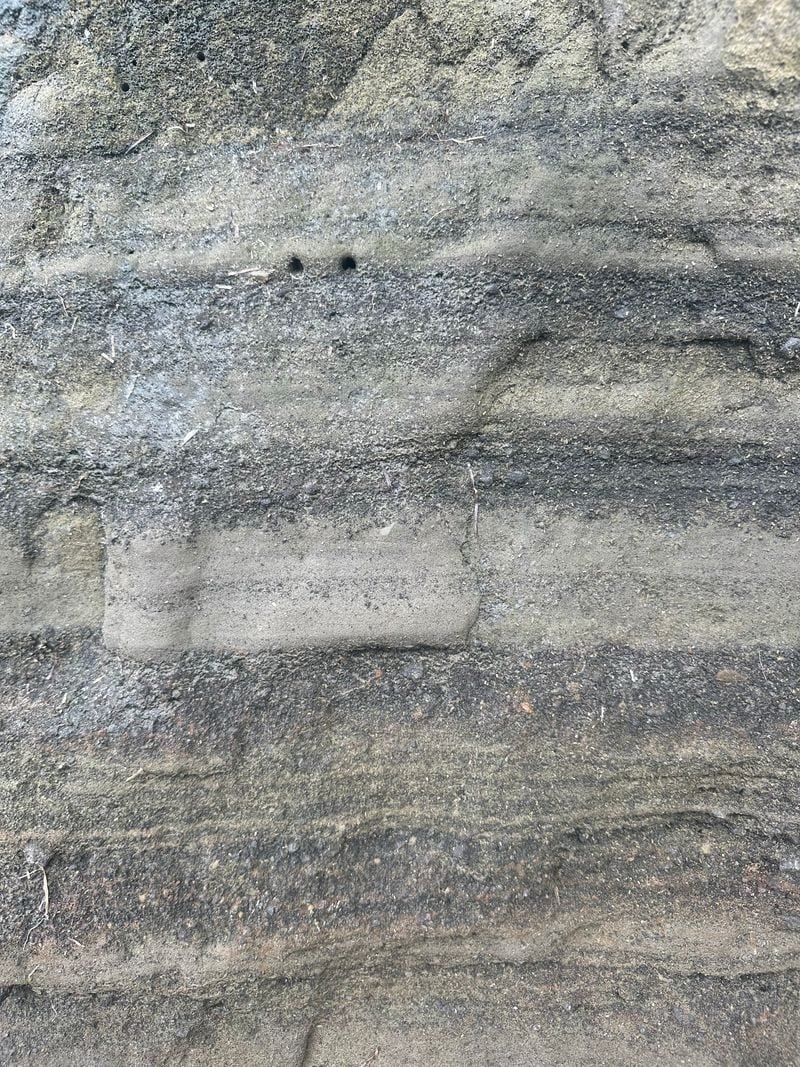 Close view of fine grey and brown layers of volcanic ash and lake sediment