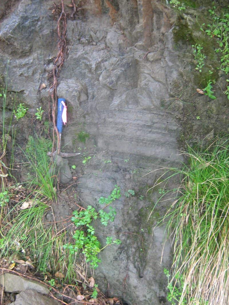 Low cliff of grey volcanic ash in thin wavy layers, with a geological hammer for scale