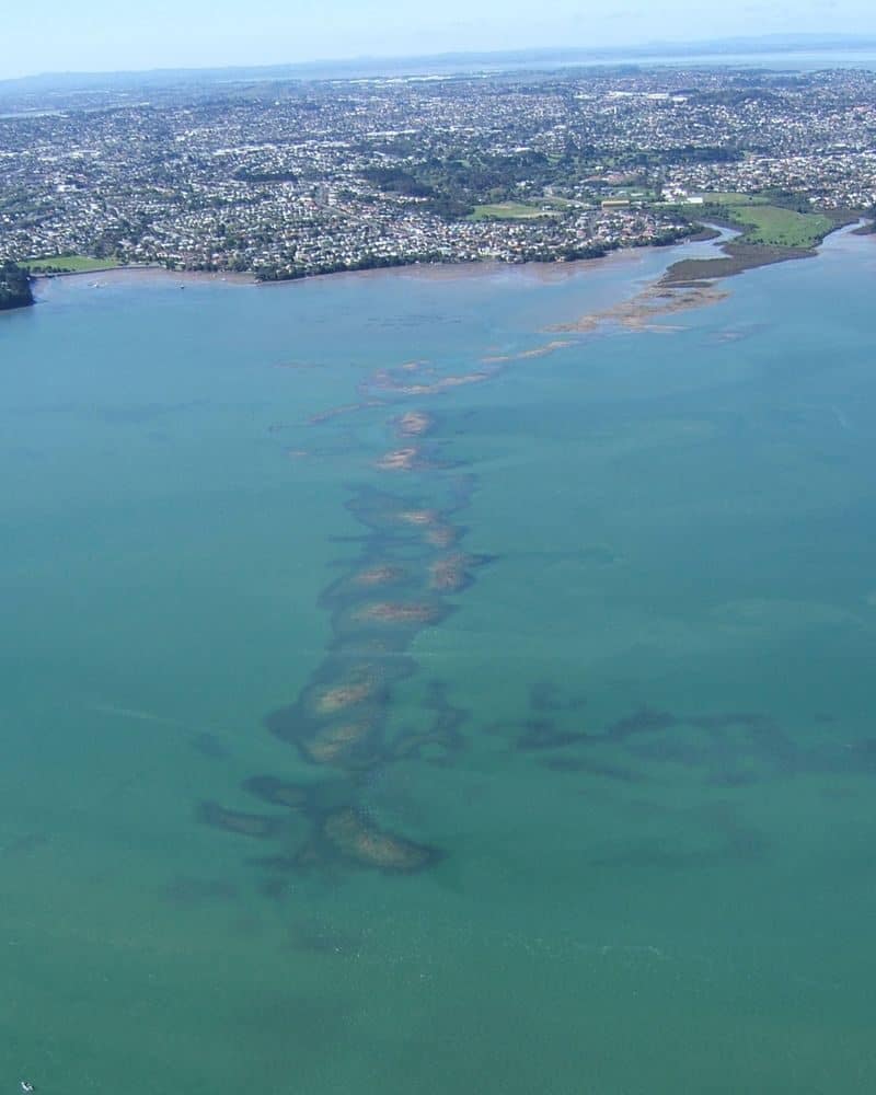 Aerial view of Meola Reef, the end of the Te Kōpuke / Mount Saint John lava flow, running out into the harbour as a line of dark rock under the water