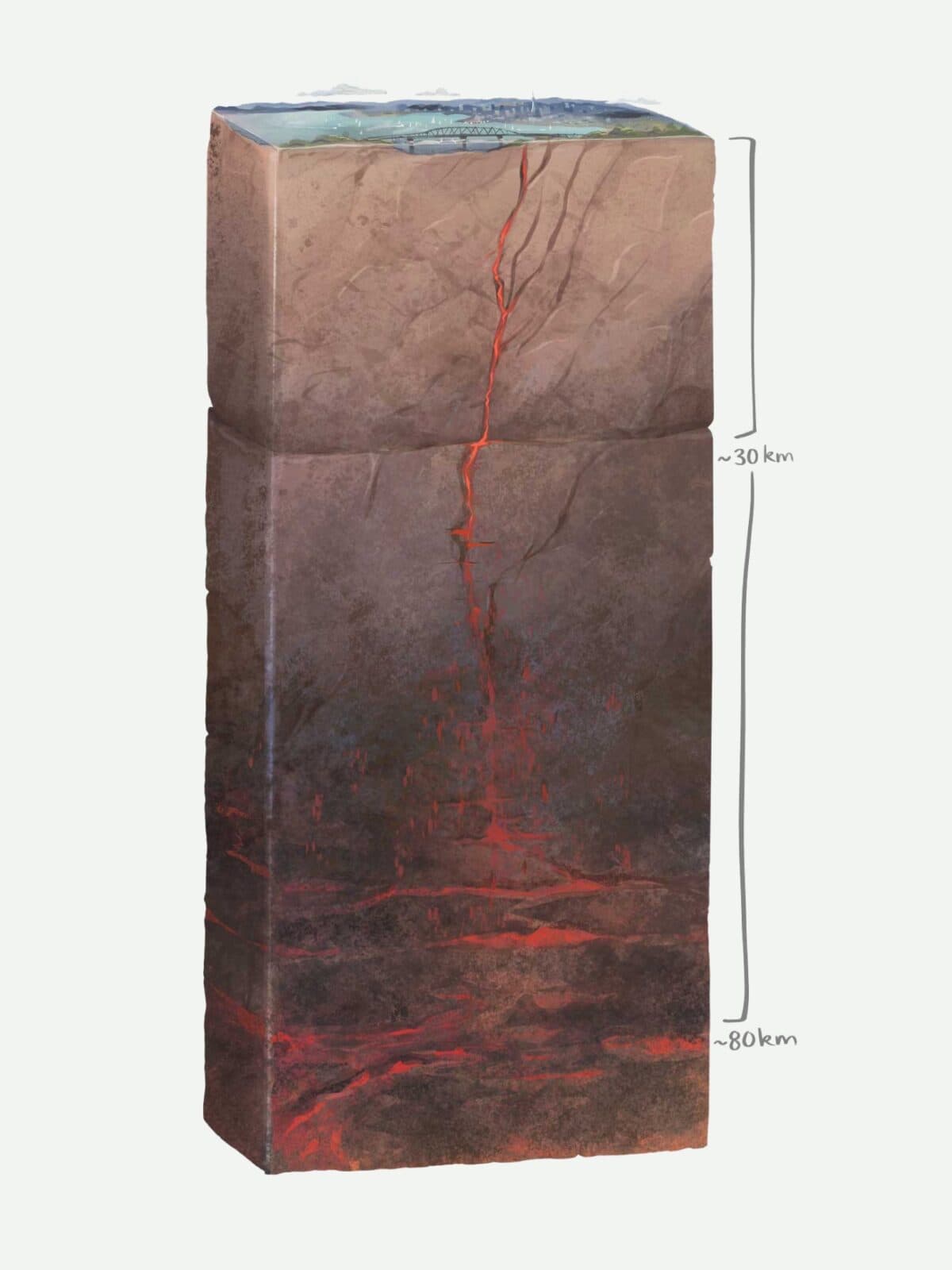 Illustrated block of ground beneath Auckland, cut away to show a thin red magma channel rising from about 80 km deep, past the 30 km mark, to the surface